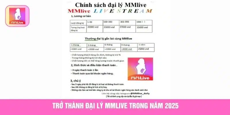 Trở thành đại lý MMlive trong năm 2025