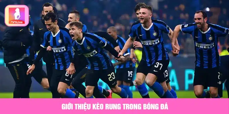 Giới thiệu kèo rung trong bóng đá